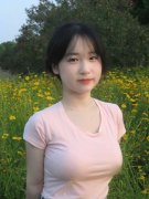 处所财务收入遭到